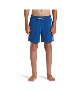 Шорты для плавания Everyday Vert Volley для мальчиков, темно-синий Quiksilver