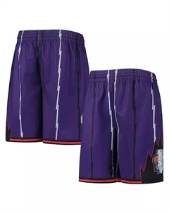 Фиолетовые шорты Big Boys Toronto Raptors 1998 Hardwood Classics в честь 75-летия Swingman Mitchell and ness