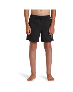 Шорты для плавания Everyday Vert Volley для мальчиков, черный Quiksilver