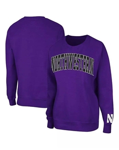 Женская фиолетовая толстовка-пуловер Northwestern Wildcats Campanile Colosseum