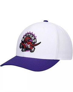 Мужская белая, фиолетовая бейсболка Toronto Raptors Hardwood Classics Core 2-Tone 2.0 Pro Snapback Mitchell and ness