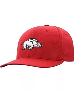 Мужская кепка с логотипом Cardinal Arkansas Razorbacks Reflex Top of the world