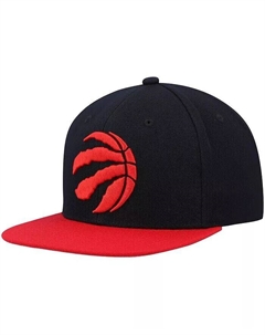 Мужская двухцветная кепка Snapback 2.0 черно-красного цвета Toronto Raptors Team Mitchell and ness