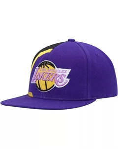 Мужская фиолетовая бейсболка Los Angeles Lakers Hardwood Classics Retroline Snapback Mitchell and ness
