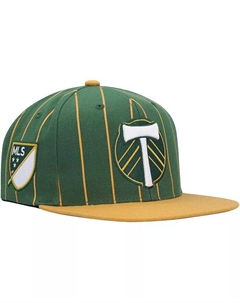 Мужская зеленая бейсболка Portland Timbers Team Pin Snapback Mitchell and ness