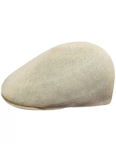 Мужская кепка, коричневый/бежевый Kangol