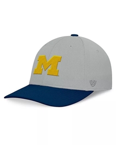Мужская серая/темно-синяя шляпа Michigan Wolverines Mick Flex Hat, мультиколор Top of the world