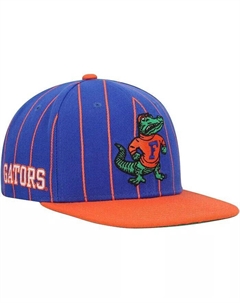 Мужская кепка Snapback в тонкую полоску Royal Florida Gators Team Mitchell and ness