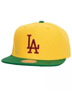 Мужская желто-зеленая кепка Snapback Los Angeles Dodgers Hometown, желтый Mitchell and ness