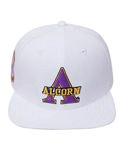 Мужская белая шерстяная шляпа с логотипом Alcorn State Braves Primary Logo Pro standard