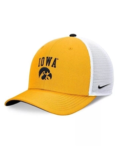 Мужская регулируемая шляпа с логотипом Iowa Hawkeyes золотого цвета, золотой Nike