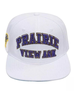 Мужская белая шерстяная шляпа Prairie View A&M Panthers Evergreen Snapback, белый Pro standard
