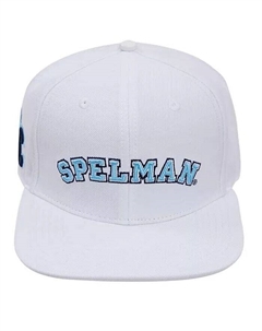 Мужская белая шерстяная шляпа Spelman College Jaguars Evergreen Snapback, белый Pro standard