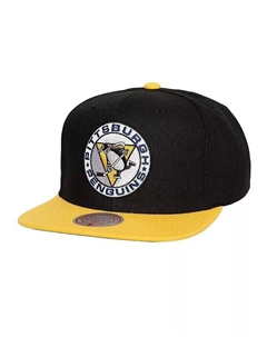 Мужская черная кепка Snapback Pittsburgh Penguins Core Team Ground 2.0, черный Mitchell and ness