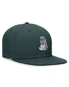 Мужская зеленая приталенная шляпа Michigan State Spartans Legacy True Fit, зеленый Nike