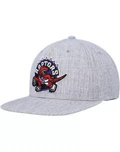 Мужская кепка Snapback из лиственных пород дерева Heather Grey Toronto Raptors 2.0, серый Mitchell and ness