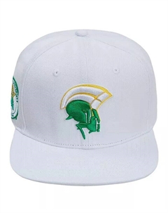 Мужская белая шерстяная шляпа-талисман Norfolk State Spartans Evergreen Snapback, белый Pro standard