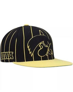 Мужская черная шляпа Snapback в тонкую полоску Iowa Hawkeyes Team, черный Mitchell and ness