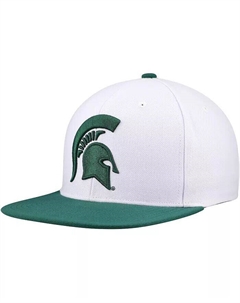 Мужская бело-зеленая кепка Michigan State Spartans 2-Tone 2.0 Snapback, белый Mitchell and ness
