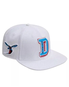 Мужская белая шерстяная шляпа Delaware State Hornets Evergreen Snapback, белый Pro standard