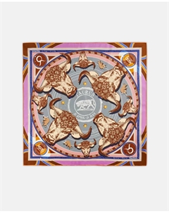 Эксклюзивный шарф из чистого шелка со знаками зодиака, серый Codello