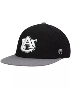 Мужская черно-серая каштановая двухцветная приталенная шляпа команды Tigers Team Color, черный Top of the world