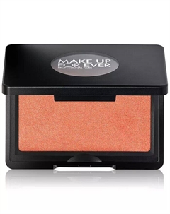 Пудровые румяна Artist Longwear Skin Fusing, цвет B340- Spirited Sienna Make up for ever
