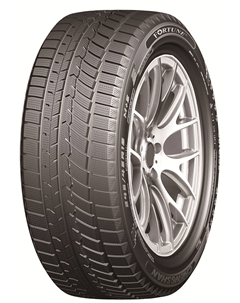 Зимние шины Fortuna FSR901 185/70 R14 88T Фортуна