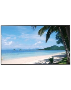 Монитор 55" LM55-S400 3840x2160 6ms 5500:1 450cd 178/178 ADS LED 16:9 D-Sub HDMI*2 DP USB RS232(RJ45) Speakers 1.5W*2 60Hz 24/7 ready VESA Black Dahua