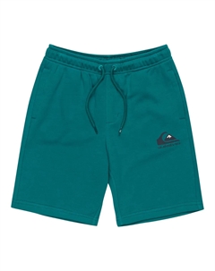 Шорты для мальчиков Easy Day, синий Quiksilver