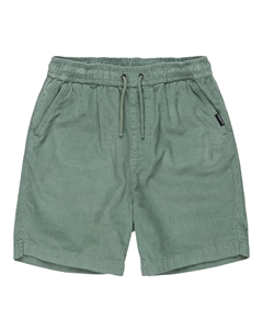 Детские шорты Taxer, зеленый Quiksilver