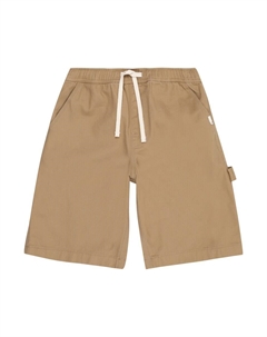 Брюки CARPENTER, хаки Element