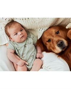 Мальчики и девочки, 5 шт. Комплект боди с короткими рукавами, мультиколор Carter`s