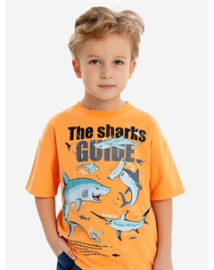 Футболка с принтом оранжевая для мальчика, Оранжевый Button blue