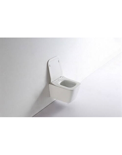 Унитаз подвесной NS5170 с сиденьем микролифт, белый Ceramalux