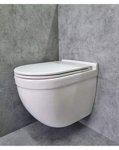 Унитаз подвесной 2198 с сиденьем микролифт, белый Ceramalux