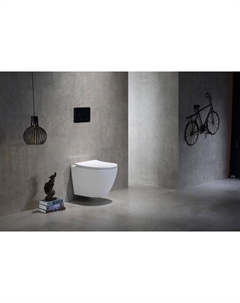 Унитаз подвесной TR2196 с сиденьем микролифт, белый Ceramalux