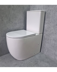 Унитаз напольный TR2176-1 с сиденьем микролифт, белый глянец Ceramalux