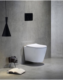 Унитаз подвесной TR5178 с сиденьем микролифт, белый Ceramalux