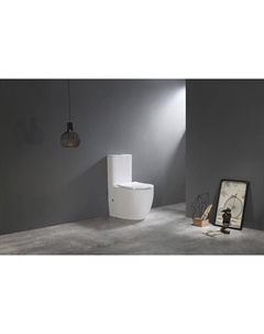 Унитаз-компакт TR2176 с сиденьем микролифт, белый Ceramalux