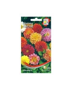 Семена Георгина Лесли Сспп сортс