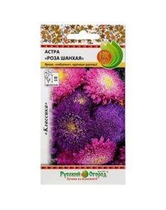 Цветы Астра Роза Шанхая, 0,1 г Семена нк