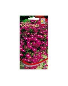 Семена Лобелия Розамунда Сспп сортс