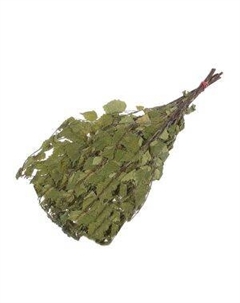 Веник берёзовый, эконом Не указано