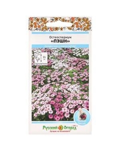 Семена Остеоспермум Пэшн смесь Семена нк