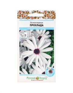 Семена Остеоспермум Прохлада Семена нк