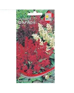 Семена Сальвия Фараон Сспп сортс