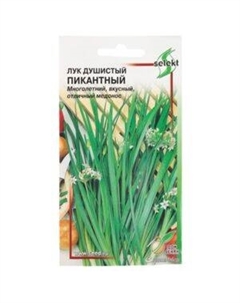 Семена Лук душистый Пикантный Сспп сортс