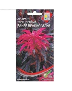 Семена Амарант трёхцветный Раннее Великолепие Сспп сортс