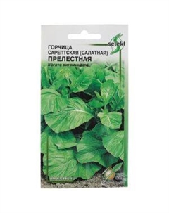 Семена Горчица салатная Прелестная Сспп сортс